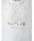 【ONLINE限定】【接触冷感】シーアニマル柄ワンポイントTシャツ&ロングパンツセット