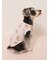 【CAT&DOG】【接触冷感】 ビーチ シュナウザー柄Coolingプルオーバー