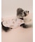 【CAT&DOG】【接触冷感】 ビーチ シュナウザー柄Coolingプルオーバー