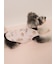 【CAT&DOG】【接触冷感】 ビーチ シュナウザー柄Coolingプルオーバー