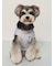 【CAT&DOG】【接触冷感】 ビーチ シュナウザー柄Coolingプルオーバー