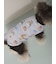【CAT&DOG】【接触冷感】 ビーチ シュナウザー柄Coolingプルオーバー