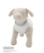 【PEANUTS】【CAT&DOG】【接触冷感】Coolingプルオーバー