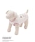 【PEANUTS】【CAT&DOG】【接触冷感】Coolingプルオーバー