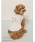 【PEANUTS】【CAT&DOG】【接触冷感】Coolingプルオーバー