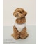 【PEANUTS】【CAT&DOG】【接触冷感】Coolingプルオーバー