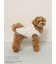 【PEANUTS】【CAT&DOG】【接触冷感】Coolingプルオーバー