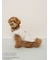 【PEANUTS】【CAT&DOG】【接触冷感】Coolingプルオーバー
