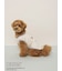 【PEANUTS】【CAT&DOG】【接触冷感】Coolingプルオーバー