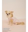 【PEANUTS】【CAT&DOG】【接触冷感】Coolingプルオーバー