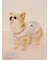 【PEANUTS】【CAT&DOG】【接触冷感】Coolingプルオーバー