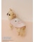 【PEANUTS】【CAT&DOG】【接触冷感】Coolingプルオーバー