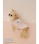 【PEANUTS】【CAT&DOG】【接触冷感】Coolingプルオーバー