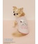【PEANUTS】【CAT&DOG】【接触冷感】Coolingプルオーバー