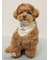 【PEANUTS】【CAT&DOG】保冷剤入れバンダナ
