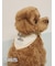【PEANUTS】【CAT&DOG】保冷剤入れバンダナ