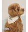 【PEANUTS】【CAT&DOG】保冷剤入れバンダナ