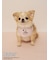 【PEANUTS】【CAT&DOG】保冷剤入れバンダナ