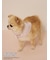 【PEANUTS】【CAT&DOG】保冷剤入れバンダナ