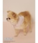 【PEANUTS】【CAT&DOG】保冷剤入れバンダナ