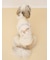 【CAT&DOG】お散歩ドッグ裏毛プルオーバー
