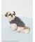 【ドラゴンクエスト】 【CAT&DOG】【販路限定】ジャガードプルオーバー