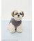 【ドラゴンクエスト】 【CAT&DOG】【販路限定】ジャガードプルオーバー