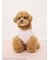 【ドラゴンクエスト】 【CAT&DOG】【販路限定】ジャガードプルオーバー
