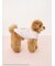 【ドラゴンクエスト】 【CAT&DOG】【販路限定】ジャガードプルオーバー