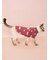 【CAT&DOG】ガーリーモチーフ柄カットソープルオーバー