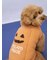 【HALLOWEEN】【CAT&DOG】パンプキンプルオーバー