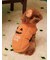 【HALLOWEEN】【CAT&DOG】パンプキンプルオーバー