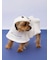 【HALLOWEEN】【CAT&DOG】おばけケープ