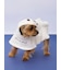 【HALLOWEEN】【CAT&DOG】おばけケープ