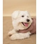 【CAT&DOG】ラージサイズ中綿ベスト