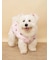【CAT&DOG】ラージサイズ中綿ベスト