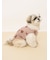 【CAT&DOG】ベア柄カットソープルオーバー