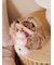 【Sleep】リボンDOGモチーフ収納ポーチ