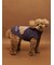 【CAT&DOG】ベビモコトイプードル柄プルオーバー