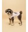 【CAT&DOG】ベビモコシュナウザー柄プルオーバー