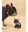 【CAT&DOG】マフラーDOGモチーフトイ