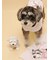 【CAT&DOG】マフラーDOGモチーフトイ