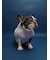 【CAT&DOG】ベビモコフレンチブルドッグ柄プルオーバー