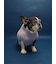 【CAT&DOG】ベビモコフレンチブルドッグ柄プルオーバー