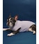 【CAT&DOG】ベビモコフレンチブルドッグ柄プルオーバー
