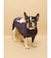 【CAT&DOG】ベビモコフレンチブルドッグ柄プルオーバー