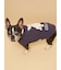 【CAT&DOG】ベビモコフレンチブルドッグ柄プルオーバー