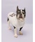 【CAT&DOG】ベビモコフレンチブルドッグ柄プルオーバー