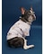 【CAT&DOG】フレンチブルドッグ柄カットソープルオーバー