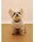 【CAT&DOG】フェザーハートロゴプルオーバー